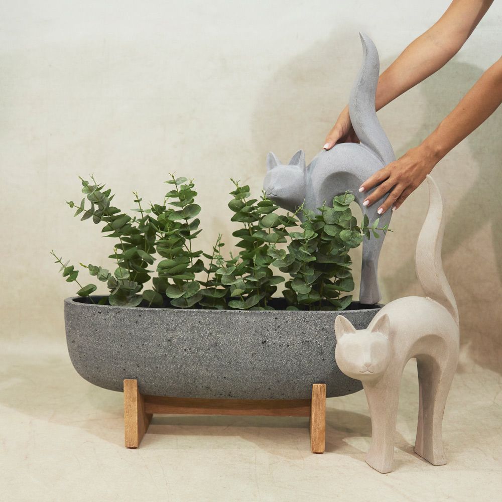 Decoratiune SARONA CAT H62 CM