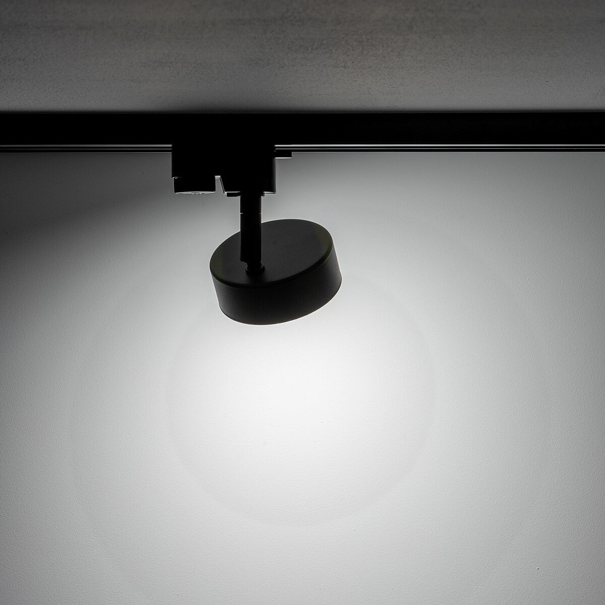 Proiector pe sina PUK