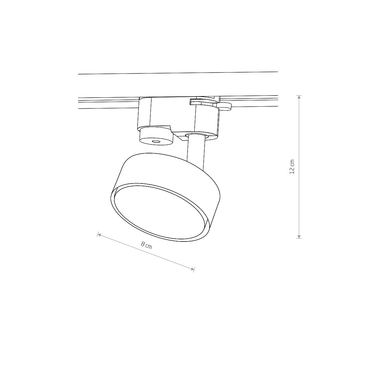 Proiector pe sina PUK