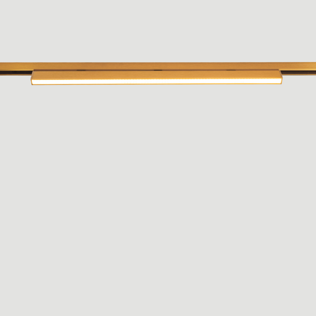 Proiector 24V sina magnetica ultra silm 6MM LIEVE 30CM ANTIQUE BRASS