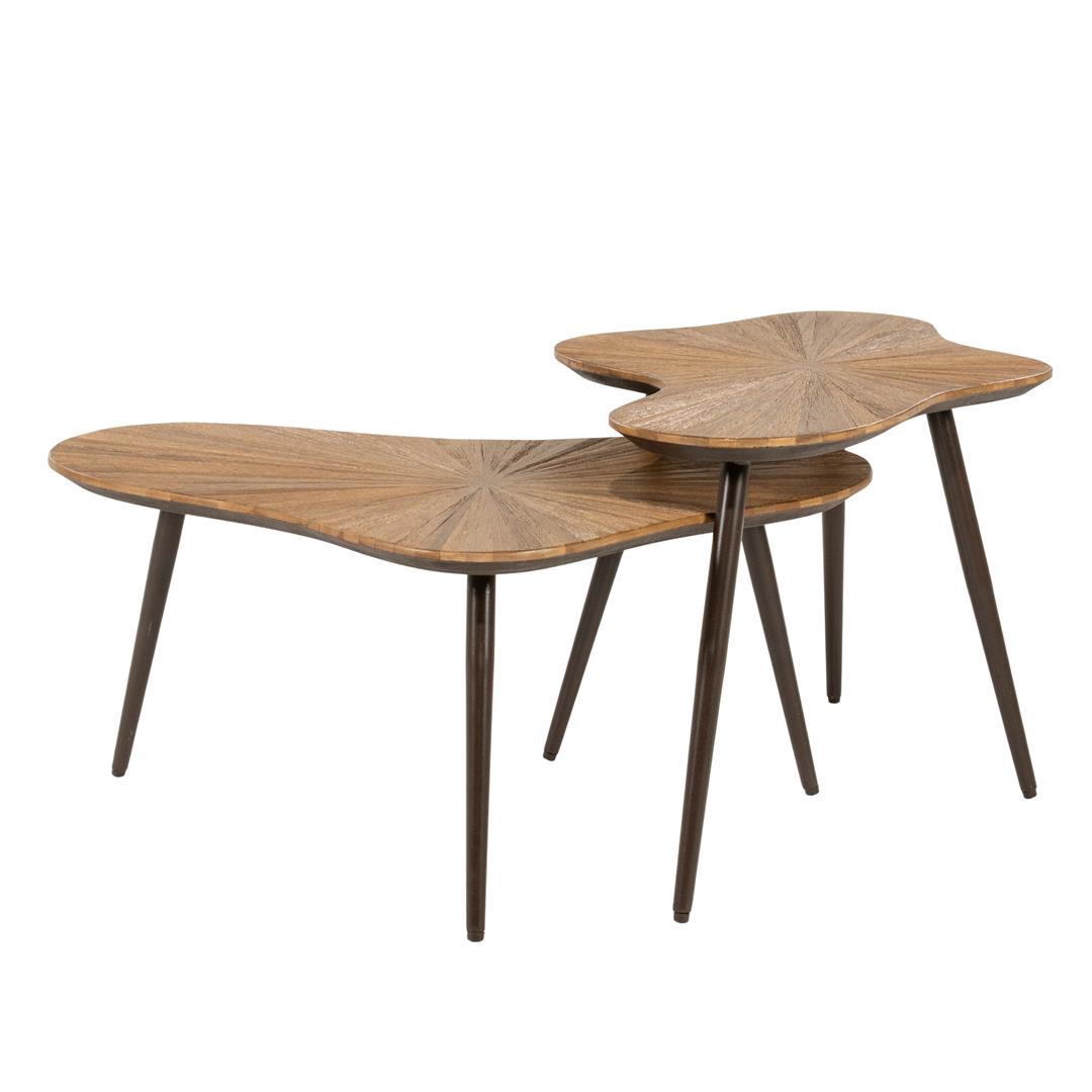 Set 2 masute de cafea FORSA 78x57x35/76x49x43 CM