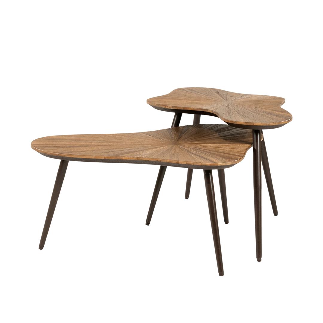 Set 2 masute de cafea FORSA 78x57x35/76x49x43 CM