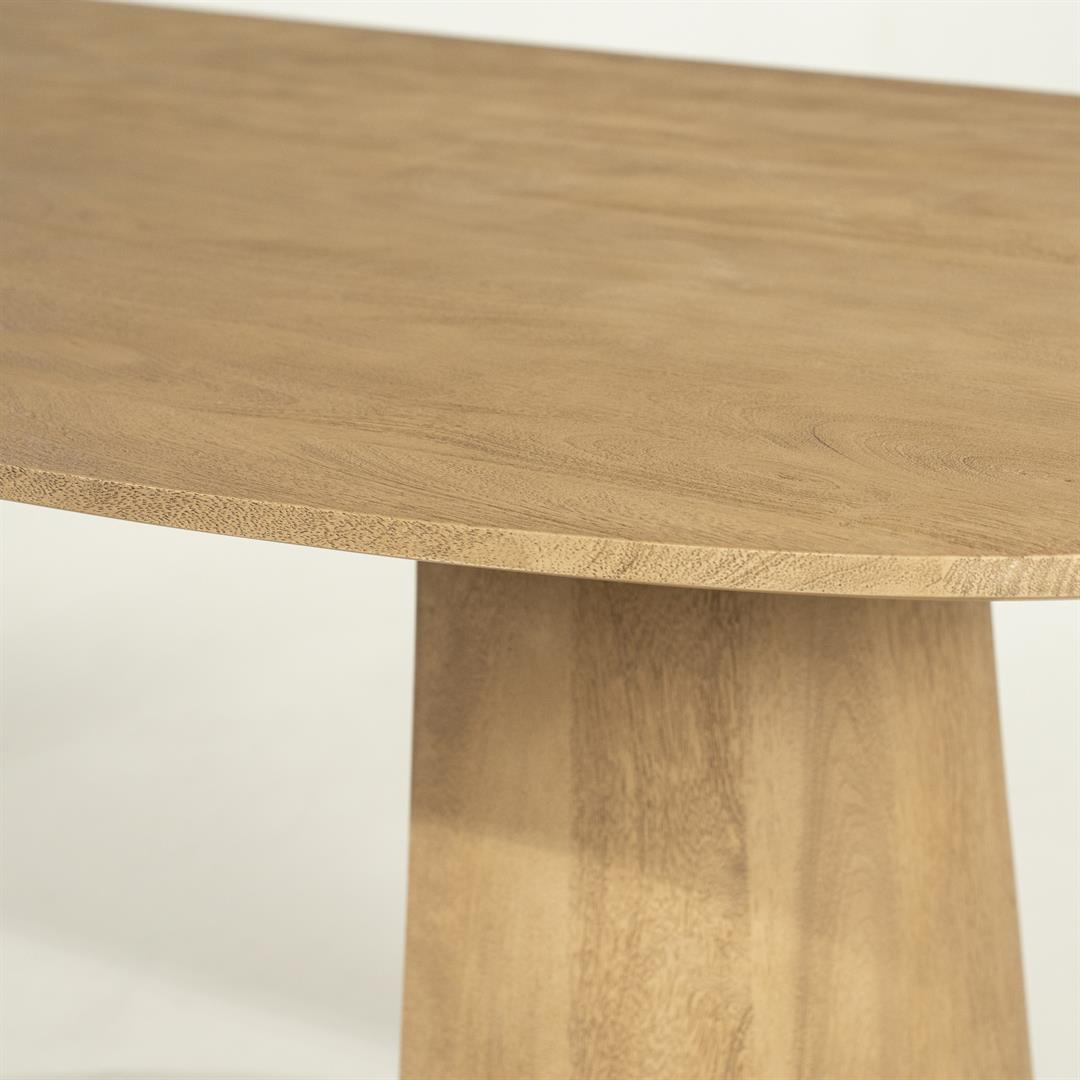 Masa GARNEL 300 x 105 CM