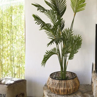 Set 2 suporturi ghivece ARMSTRONG