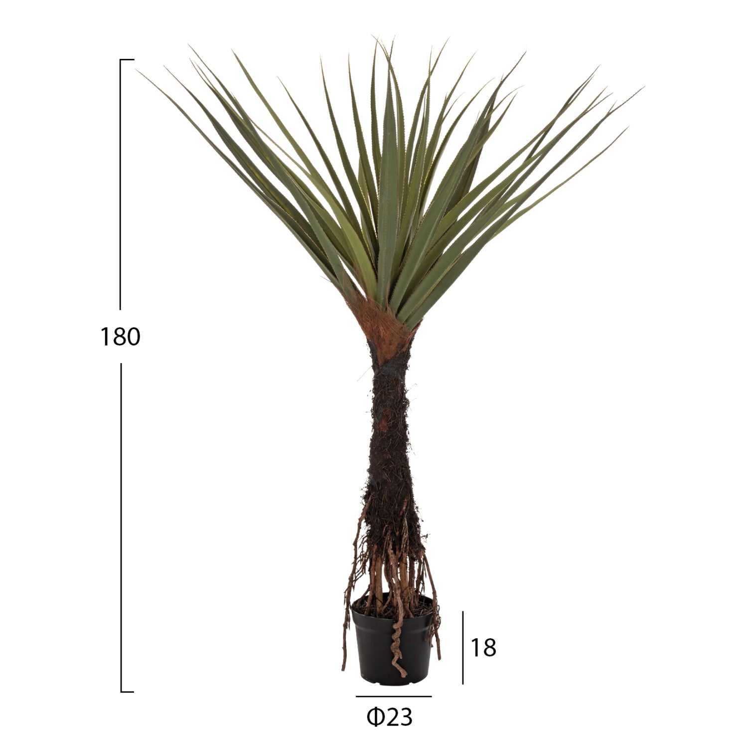 Planta artificiala COLSA SISAL 180 CM