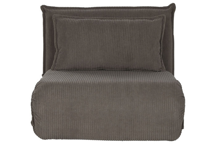 Fotoliu extensibil ANSEL