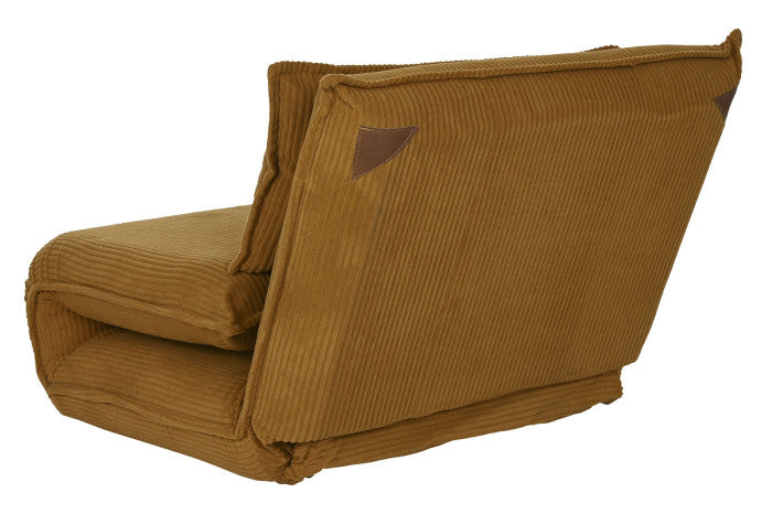 Fotoliu extensibil ANSEL