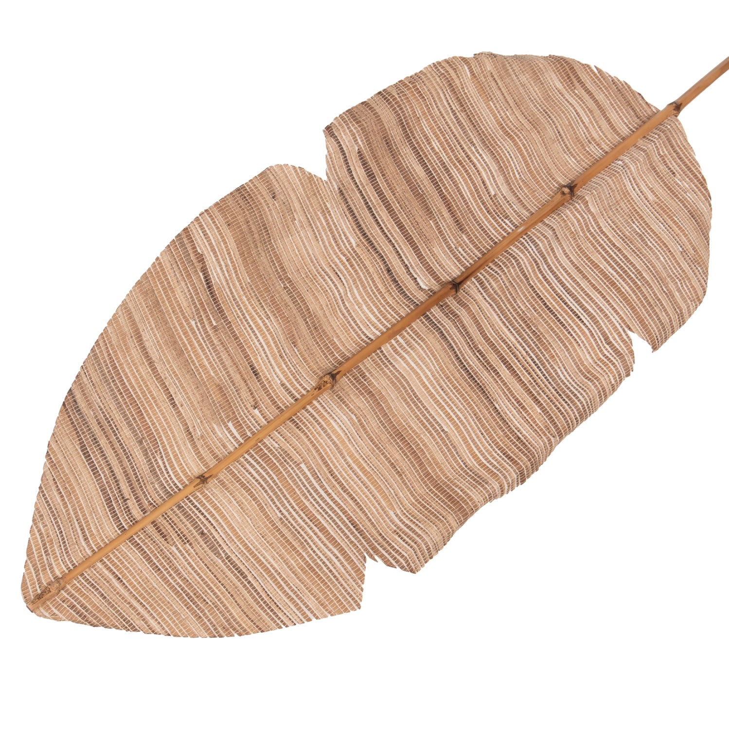 Frunza uscata MEDA HYACINTH NATURAL