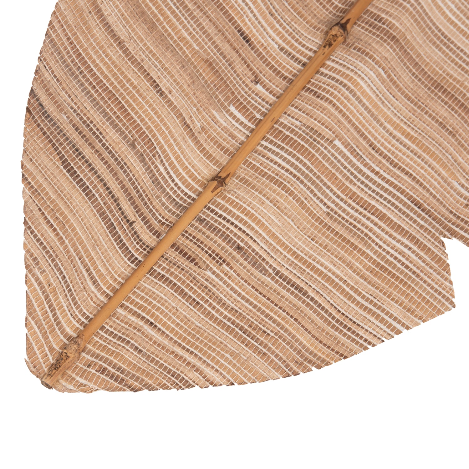 Frunza uscata MEDA HYACINTH NATURAL