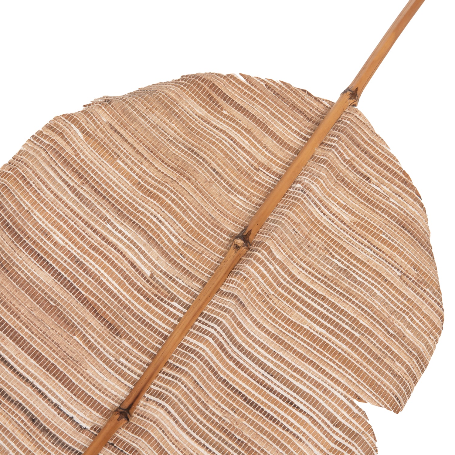 Frunza uscata MEDA HYACINTH NATURAL