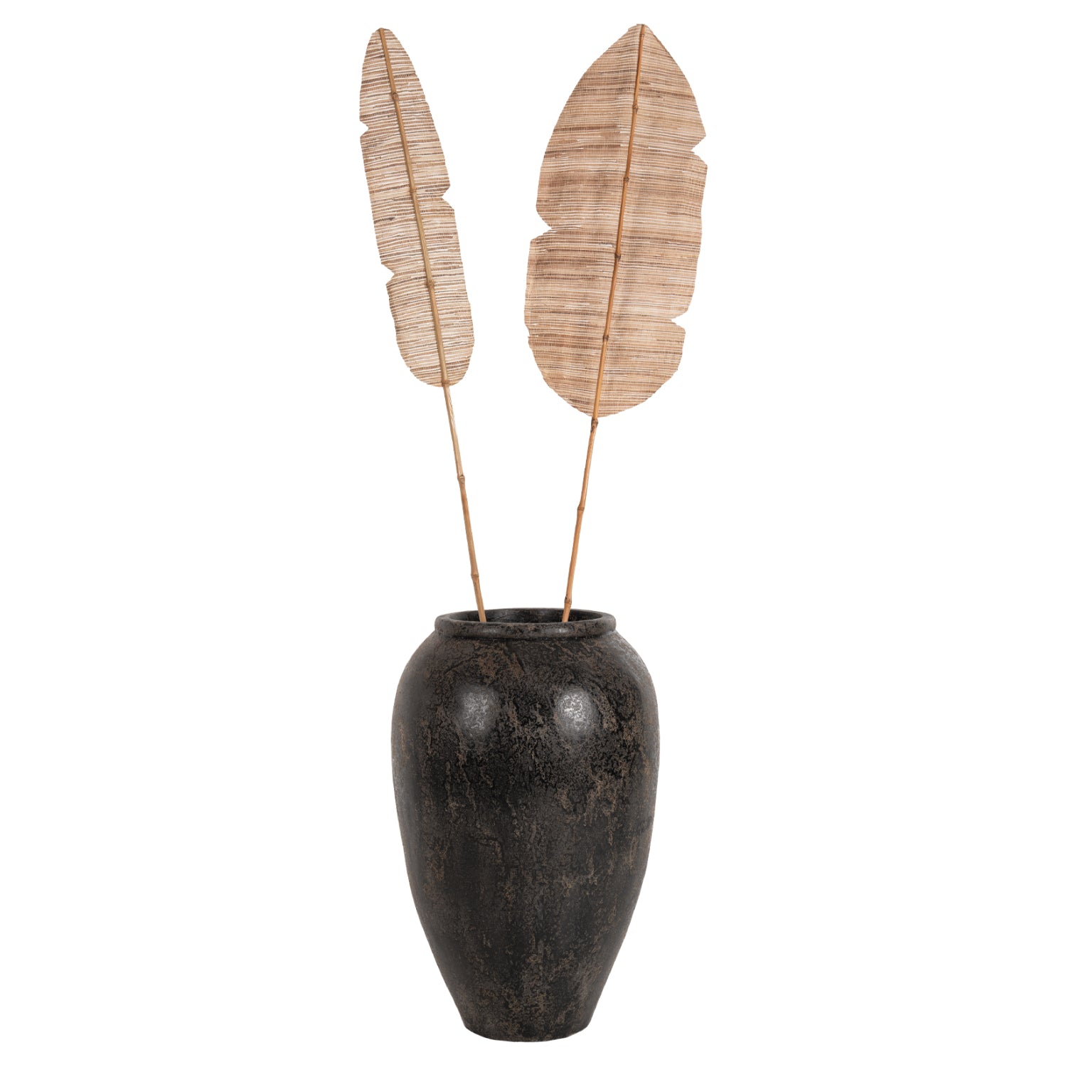 Frunza uscata MEDA HYACINTH NATURAL