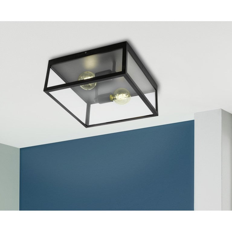 Plafoniera AMEZOLA 2L