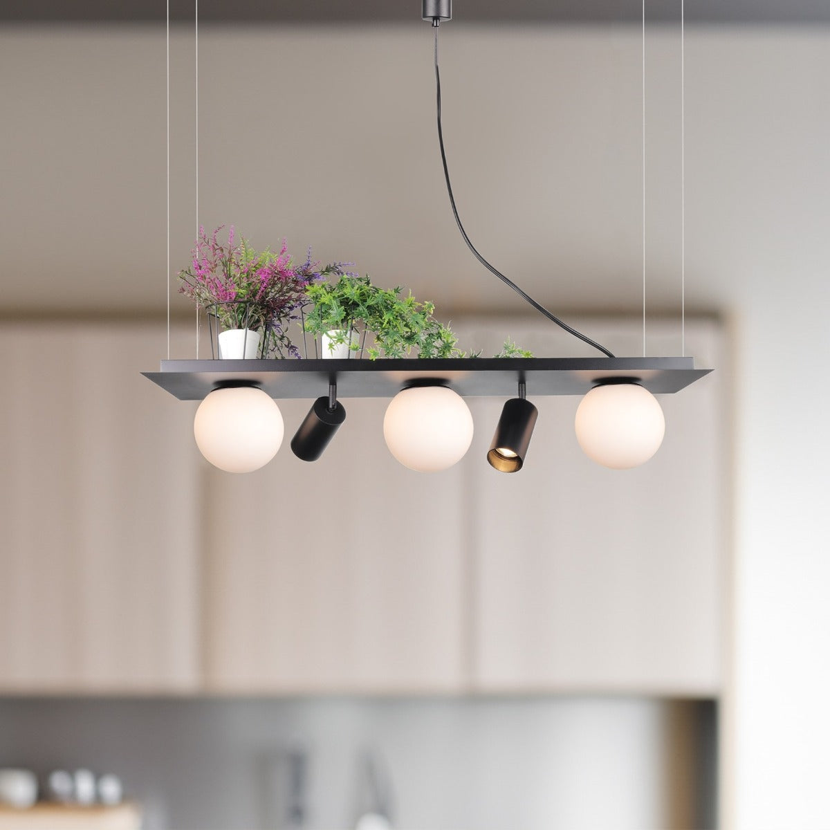 Lampa suspendata NATURE SP5