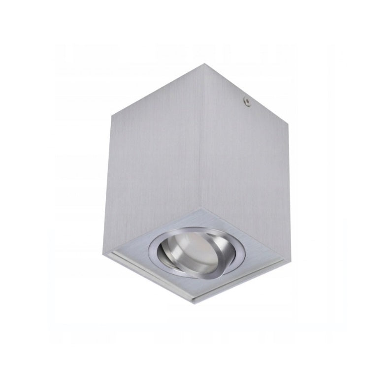 Spot aplicat CLONAL SILVER