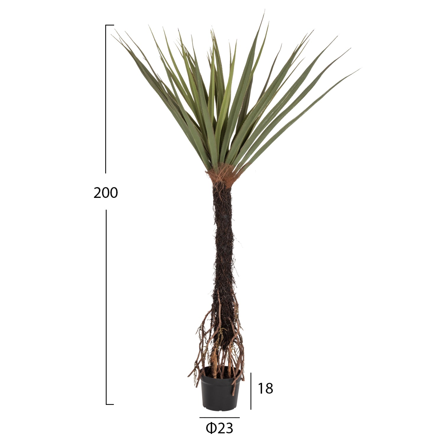 Planta artificiala COLSA SISAL 200 CM