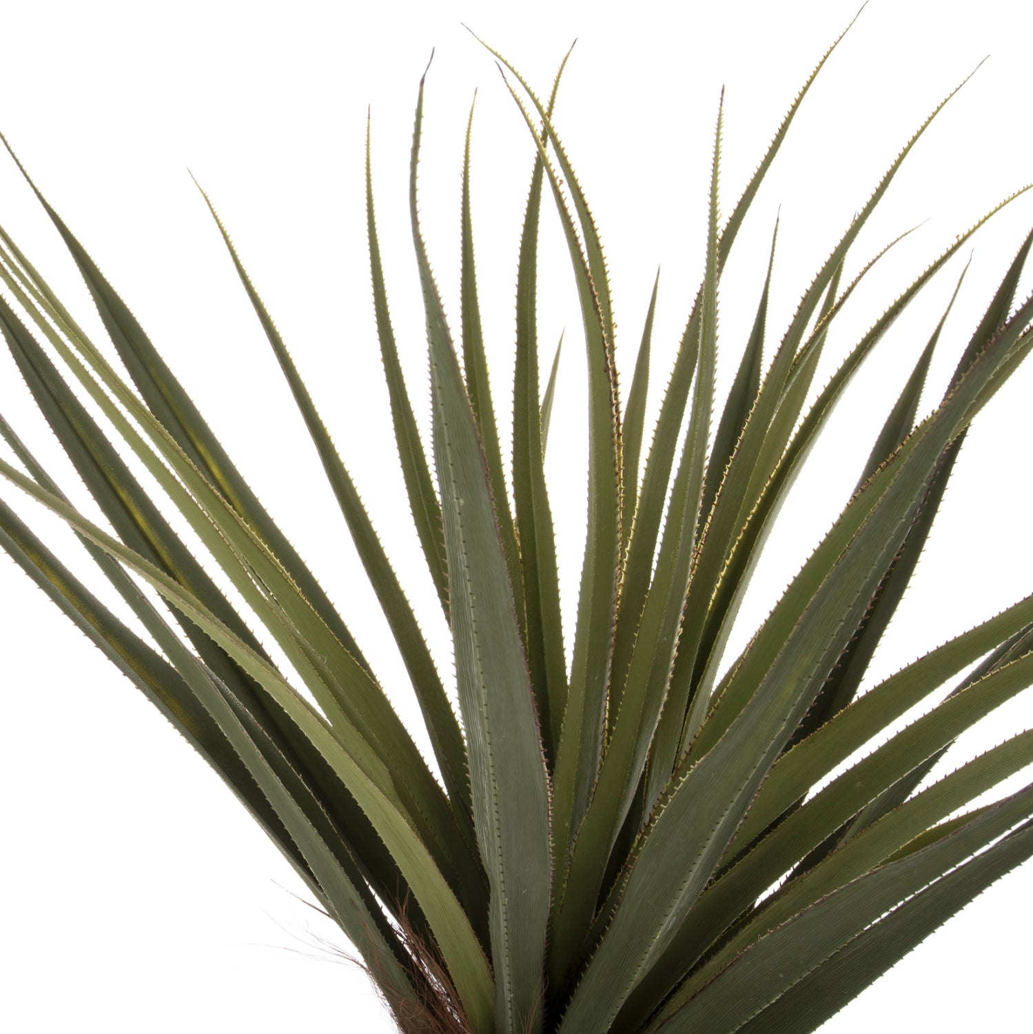 Planta artificiala COLSA SISAL 200 CM