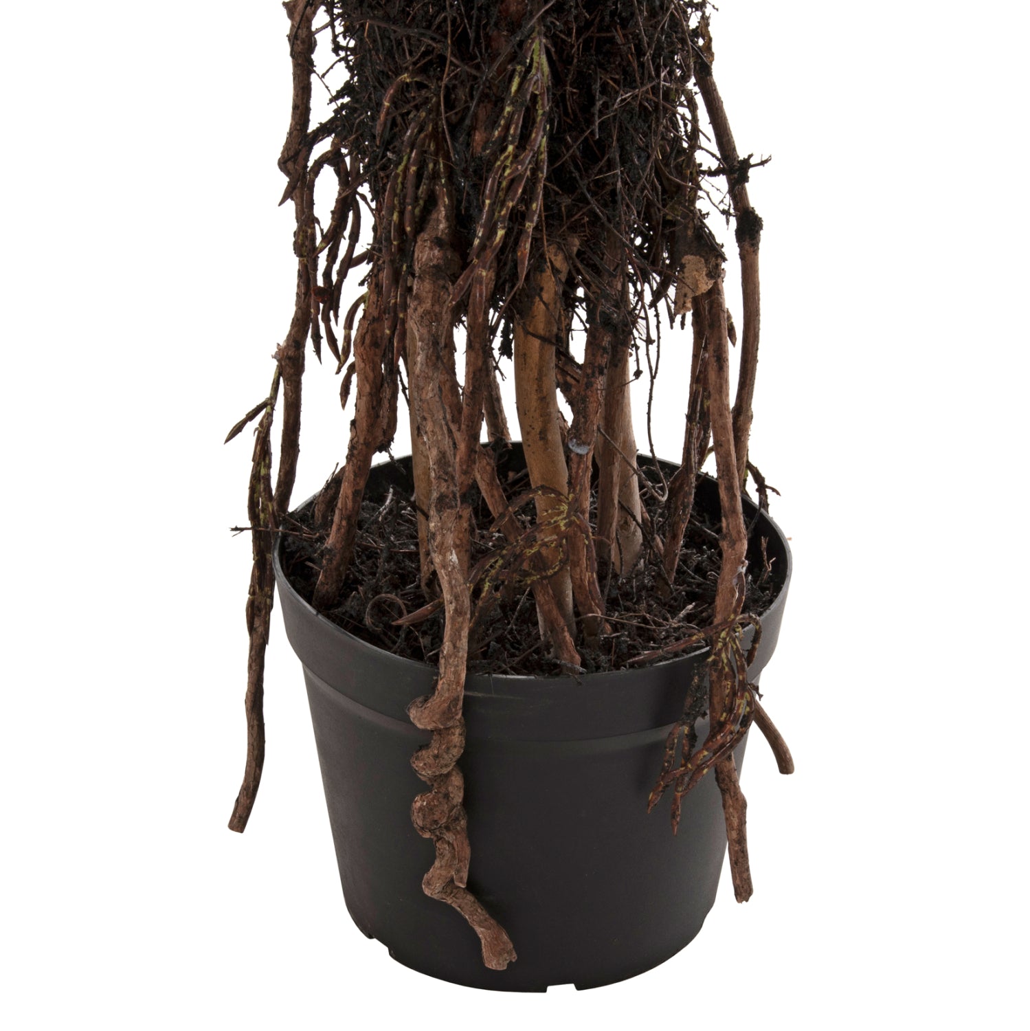 Planta artificiala COLSA SISAL 200 CM