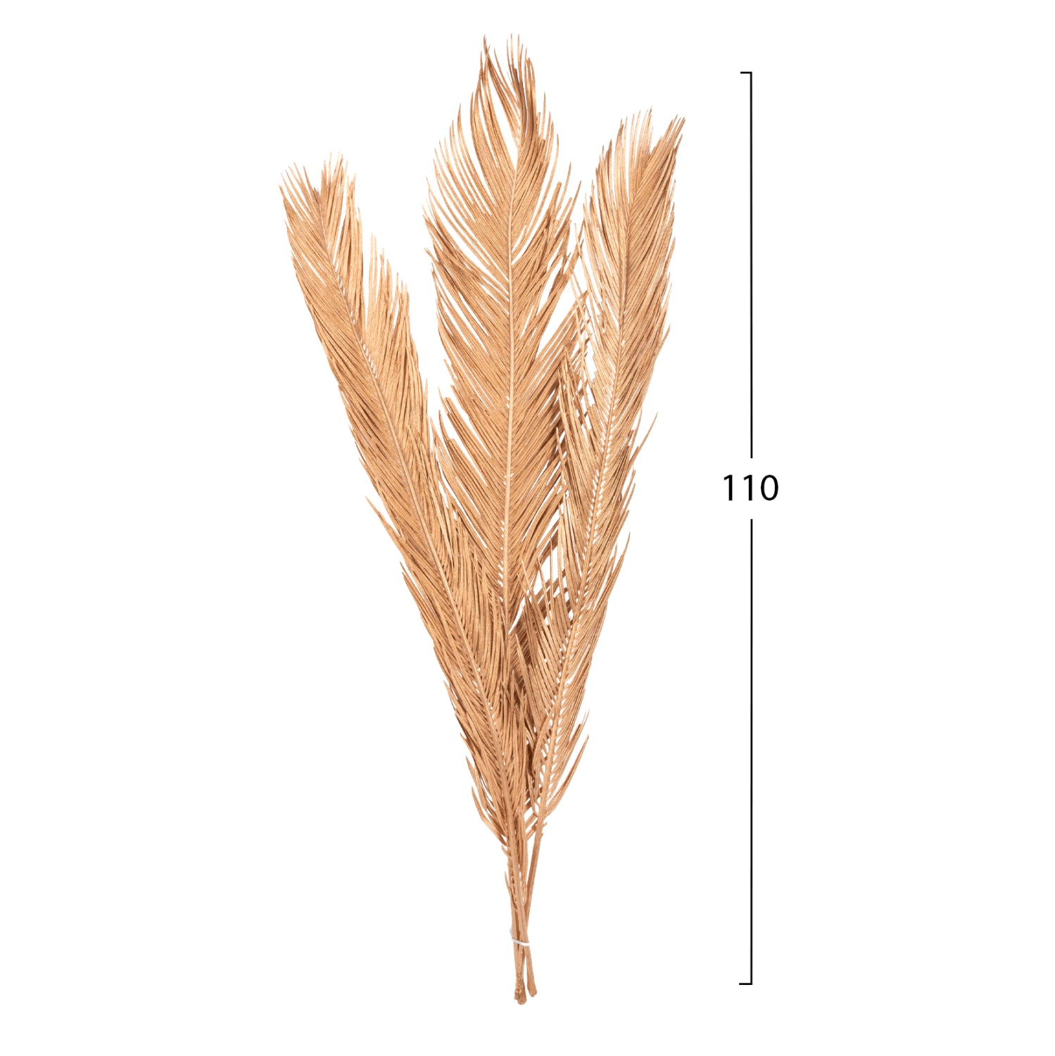 Flori uscate ALANTA PALM GOLD