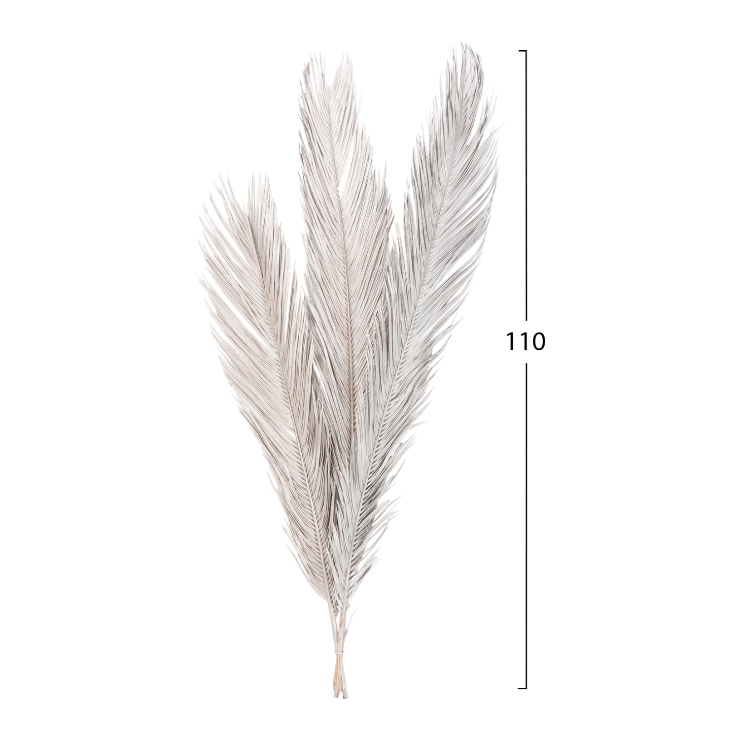 Flori uscate ALANTA PALM SILVER