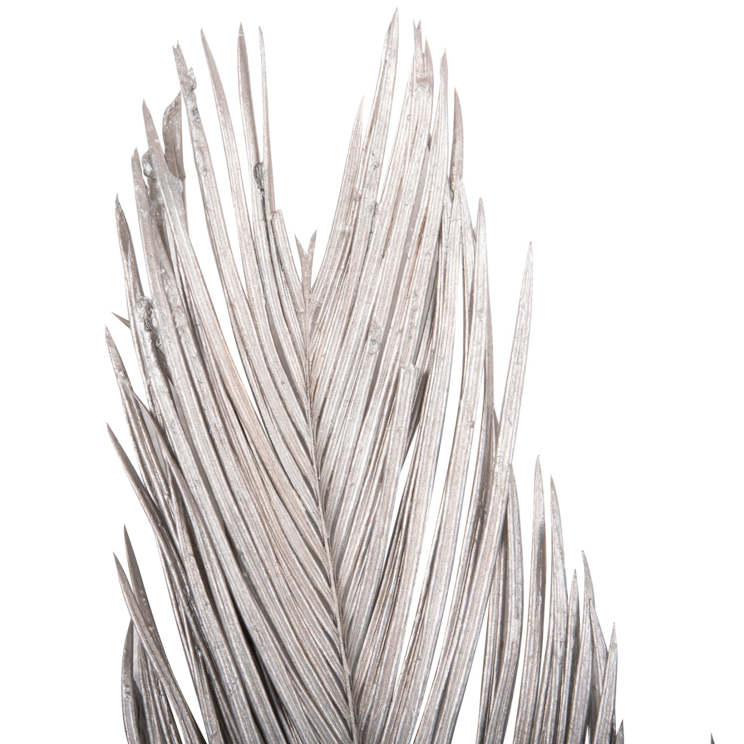 Flori uscate ALANTA PALM SILVER