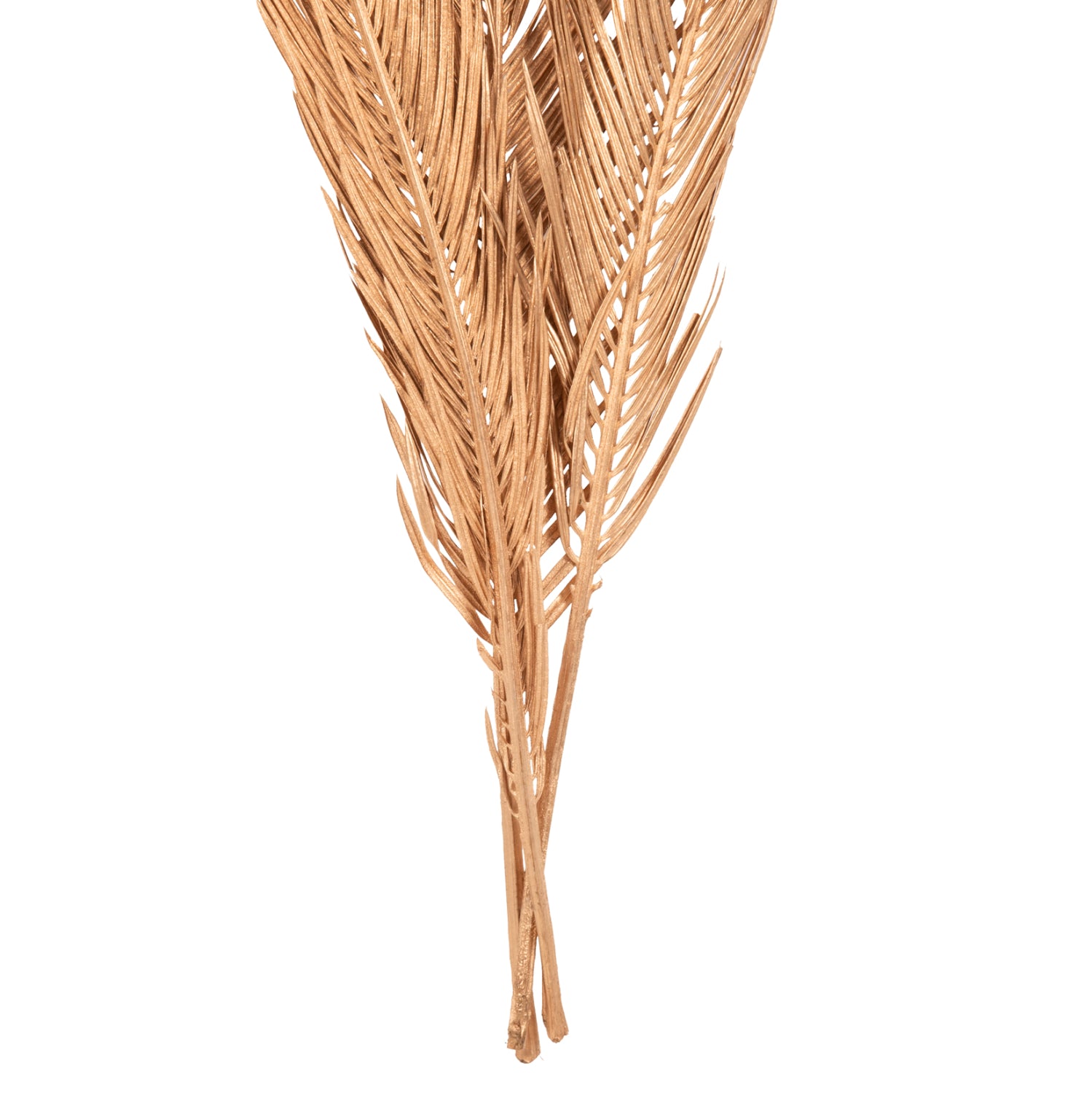 Flori uscate ALANTA PALM GOLD