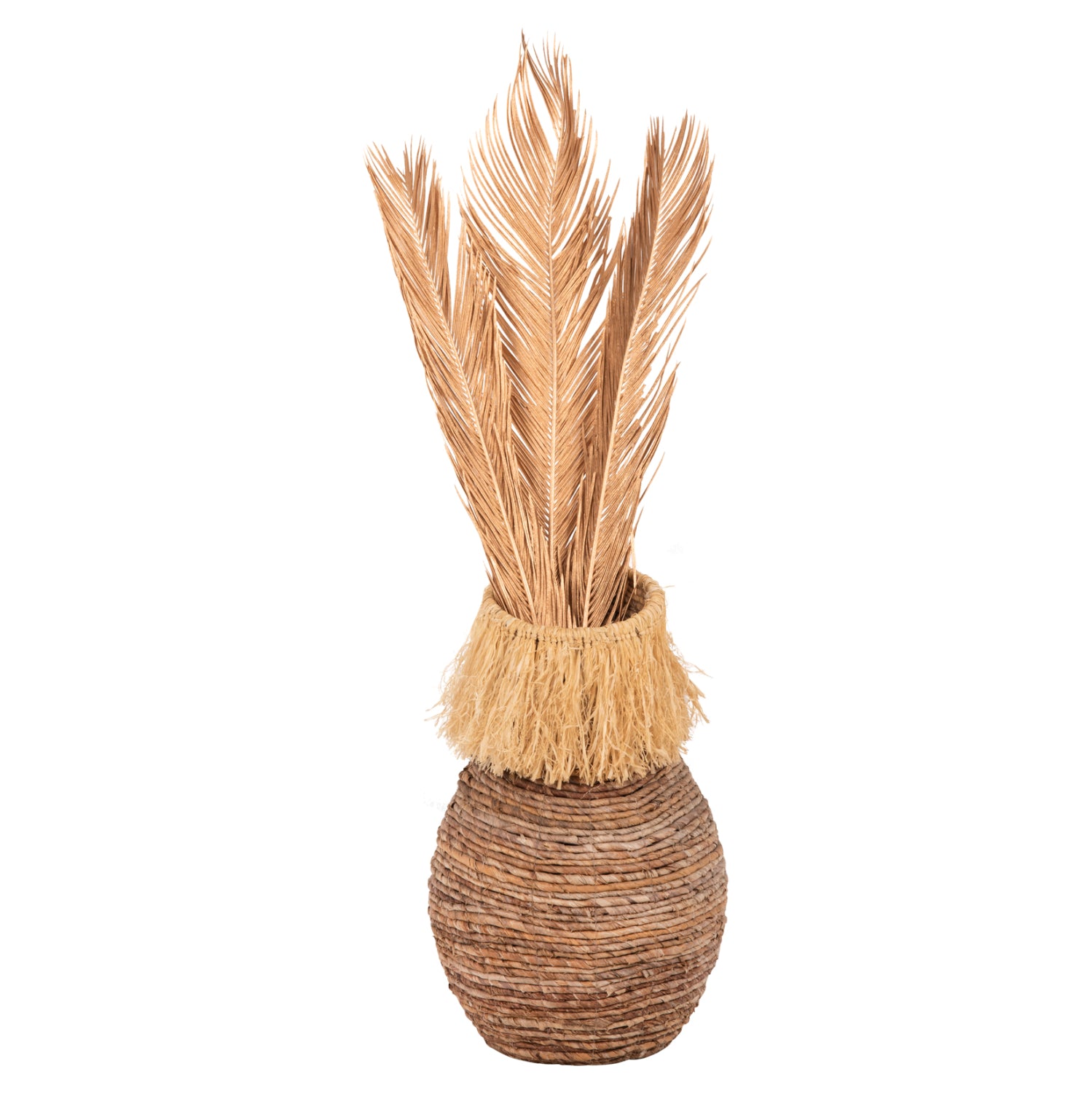 Flori uscate ALANTA PALM GOLD