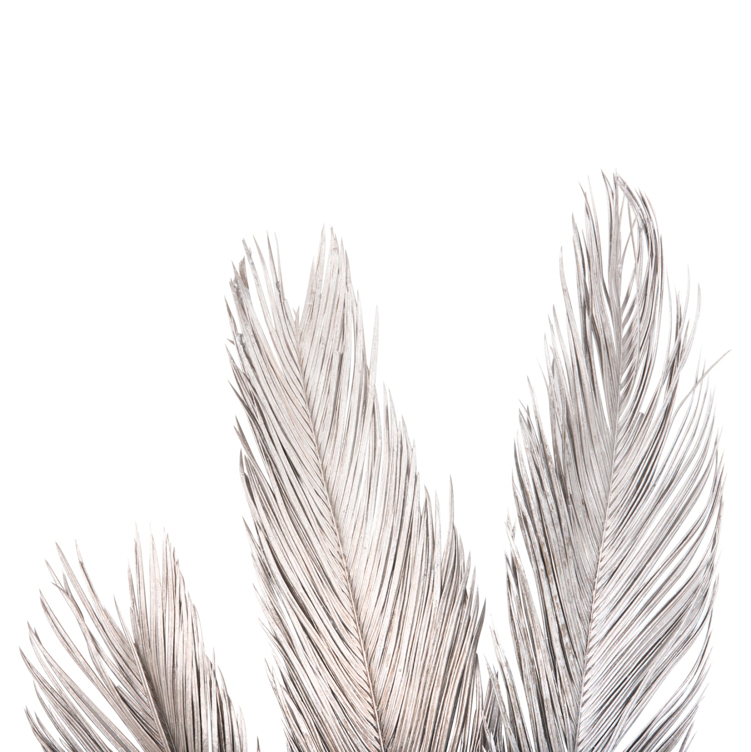 Flori uscate ALANTA PALM SILVER