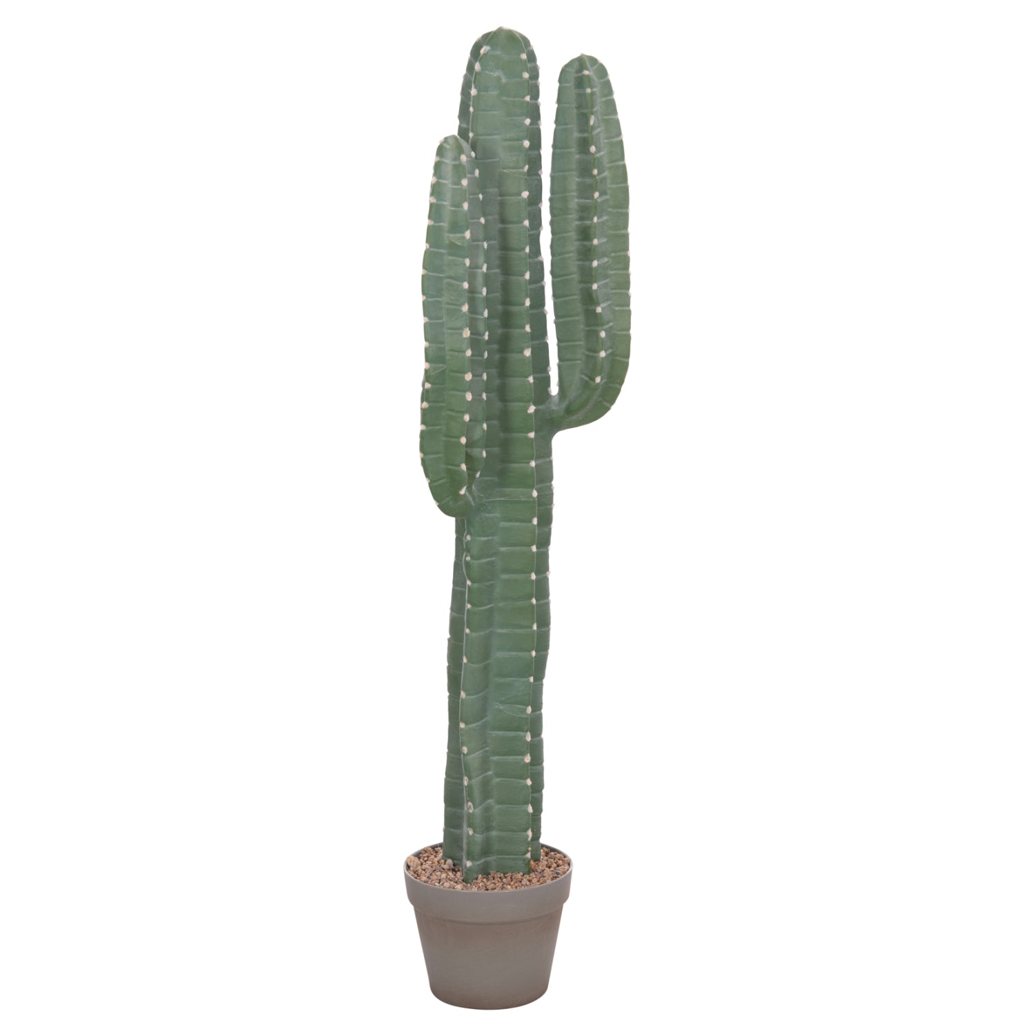 Cactus LETRA 103 CM