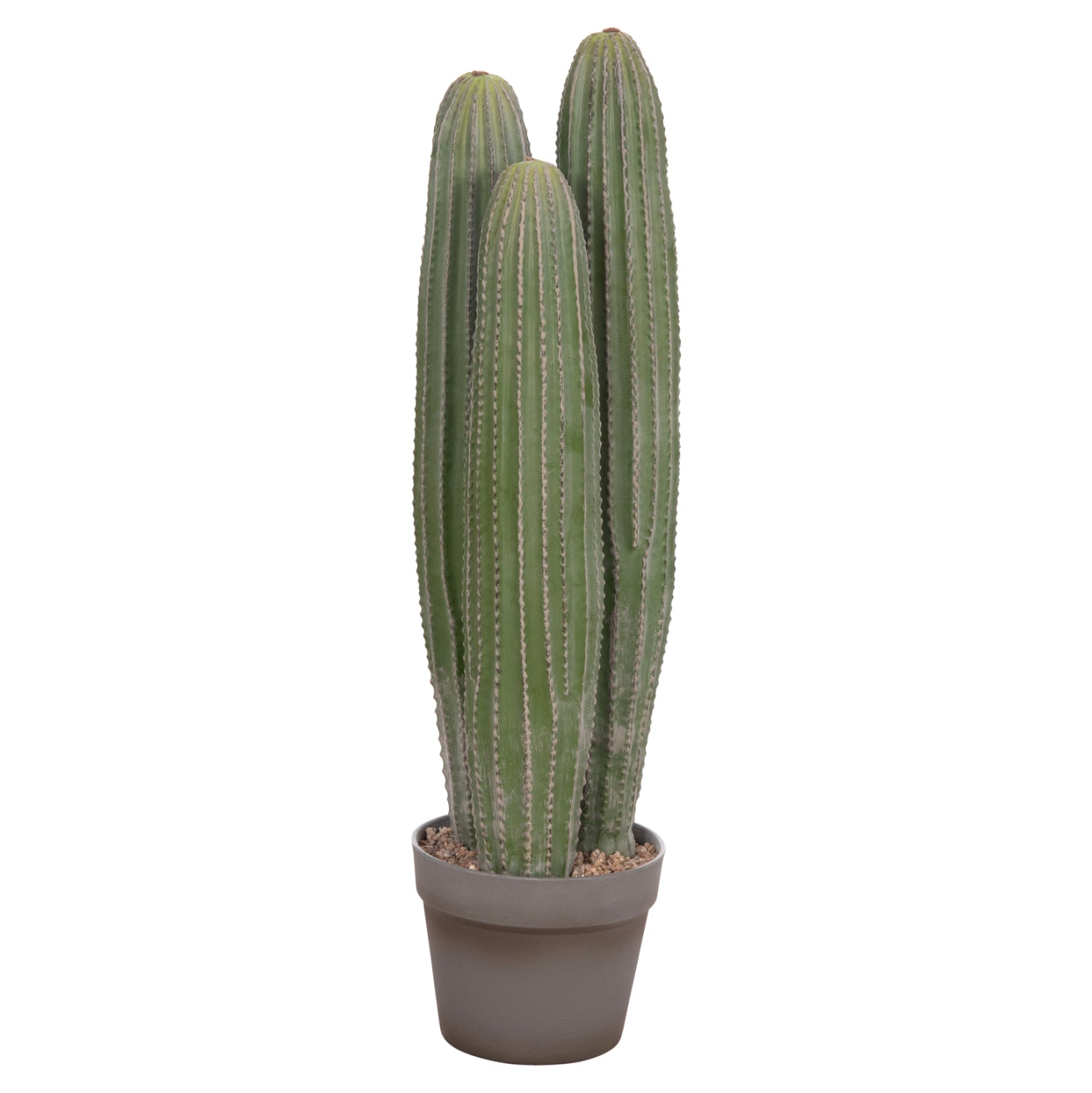 Cactus LELO 62 CM