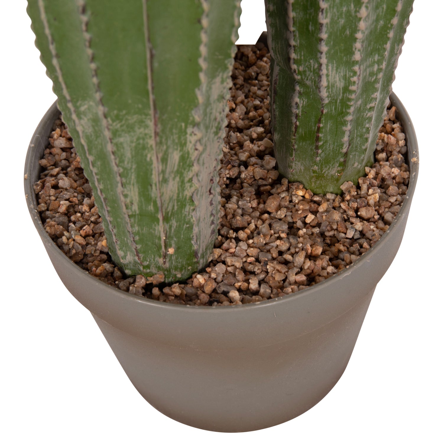 Cactus MARVIN 105 CM
