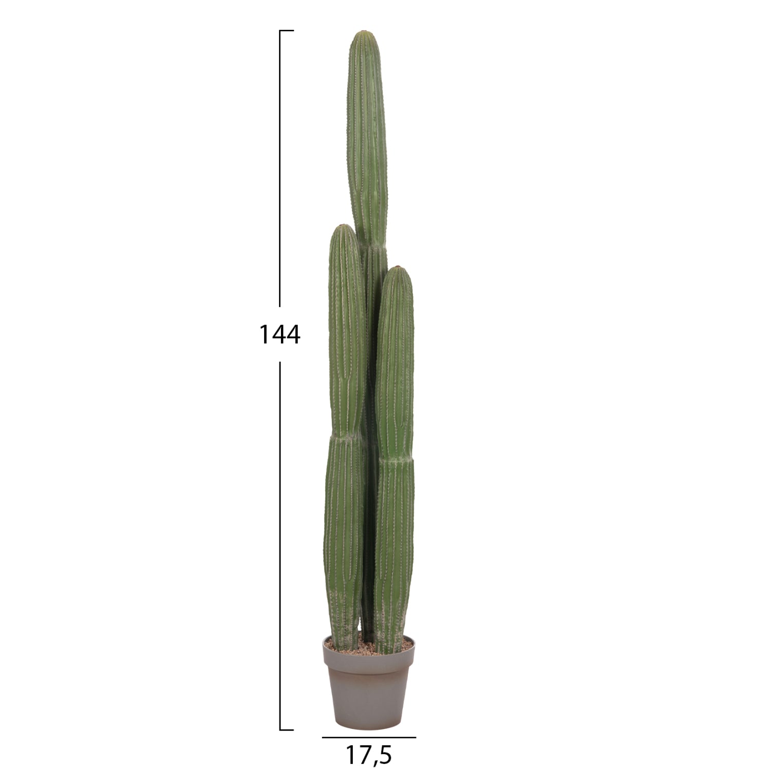 Cactus ARLET 144 CM