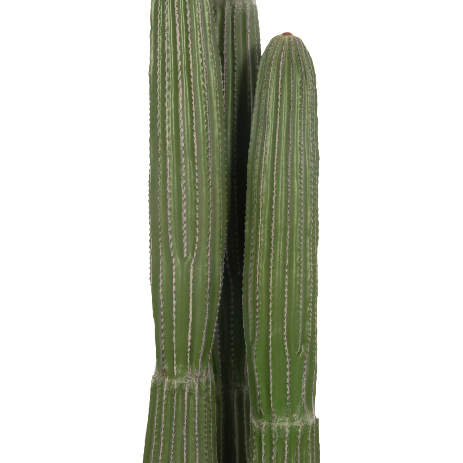 Cactus ARLET 144 CM