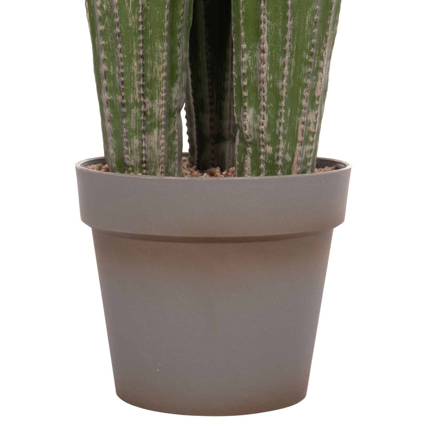Cactus ARLET 144 CM