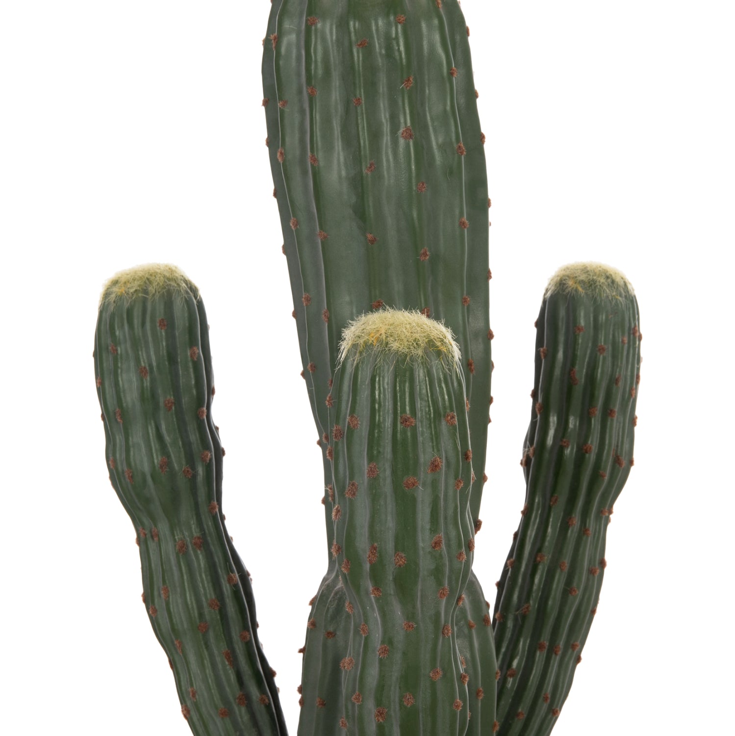 Cactus ROTOR 113 CM