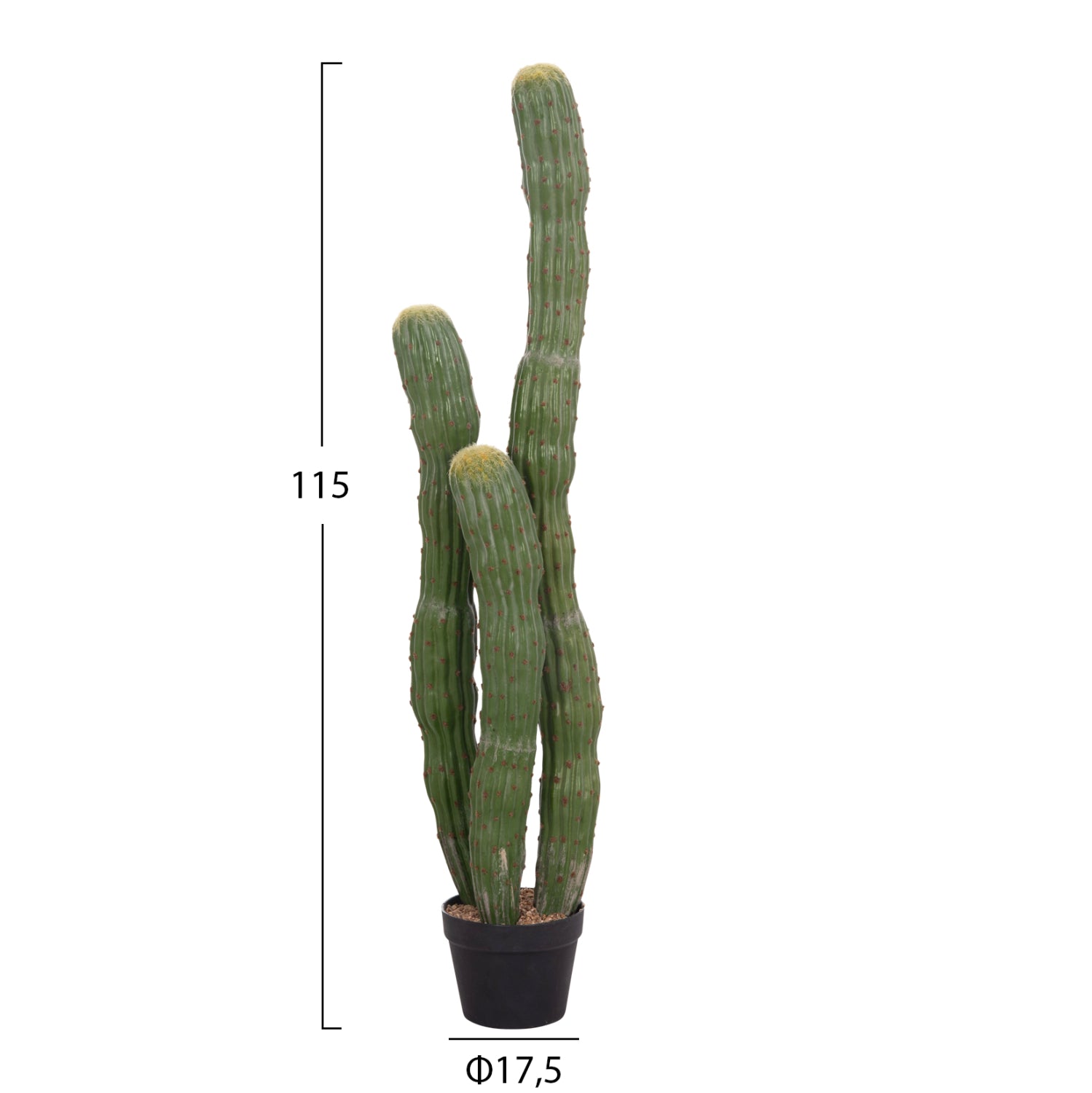 Cactus PIOVRA 115 CM