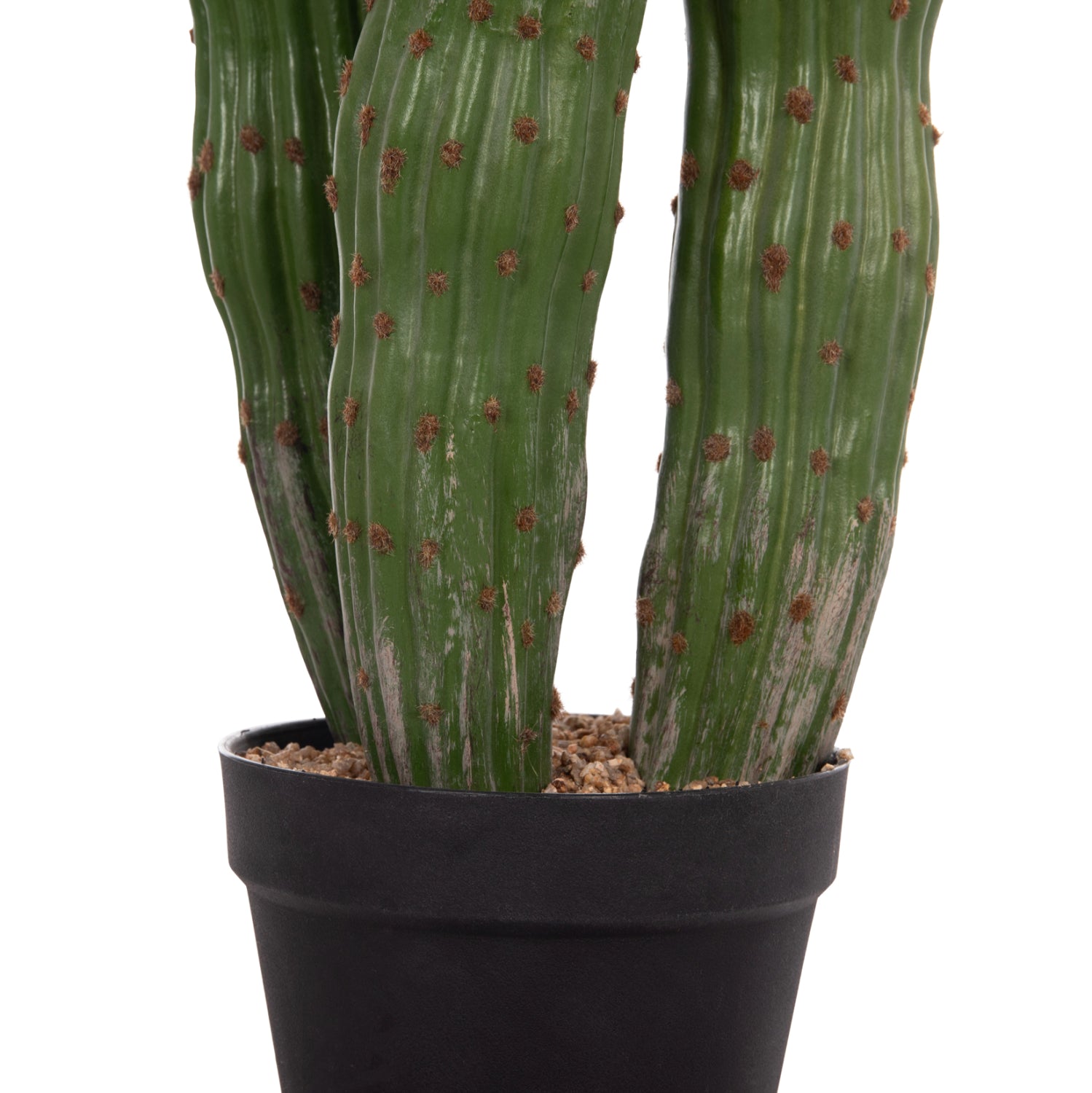 Cactus PIOVRA 115 CM