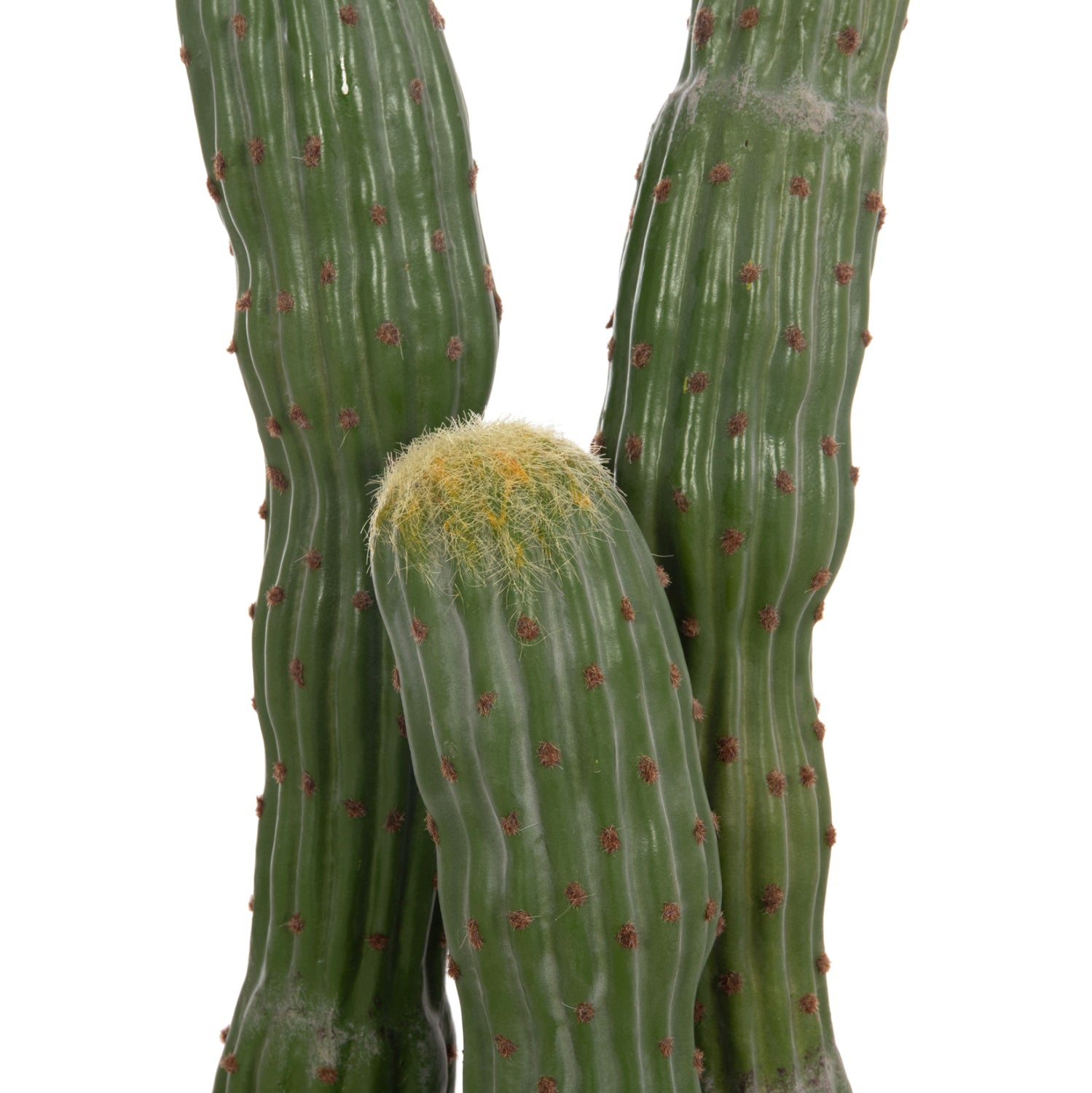 Cactus PIOVRA 115 CM
