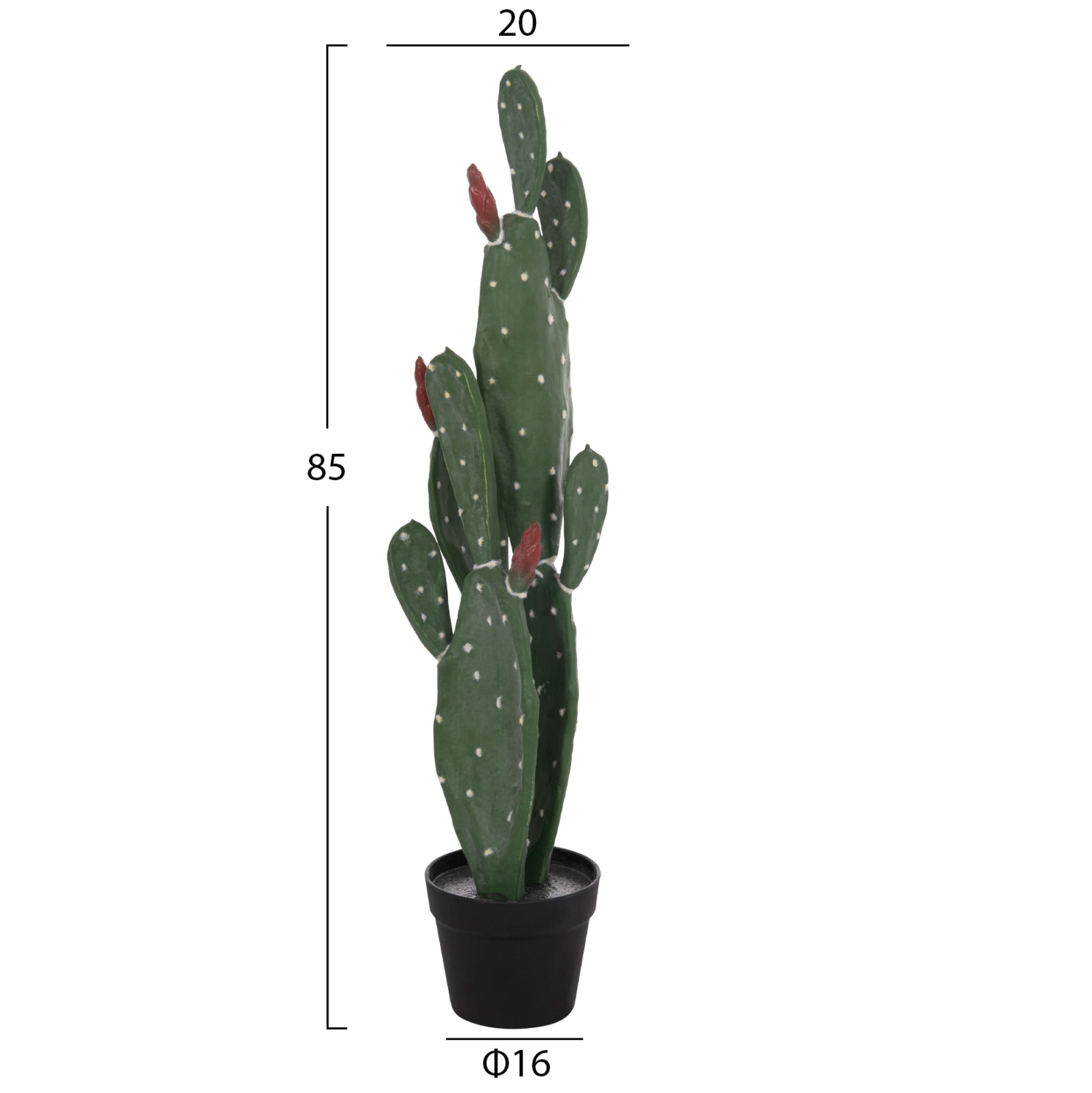 Cactus RUSPA 85 CM