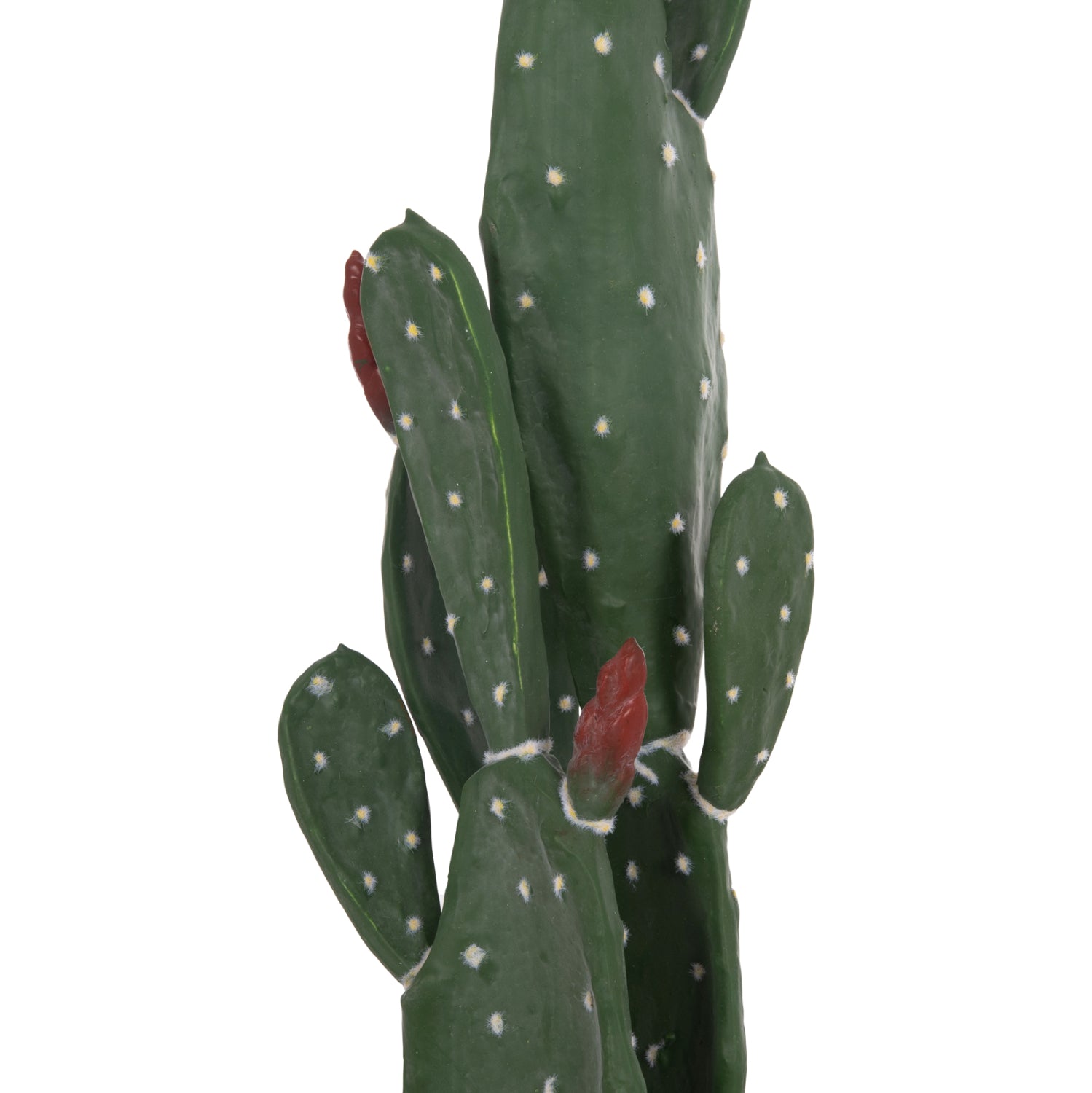 Cactus RUSPA 85 CM