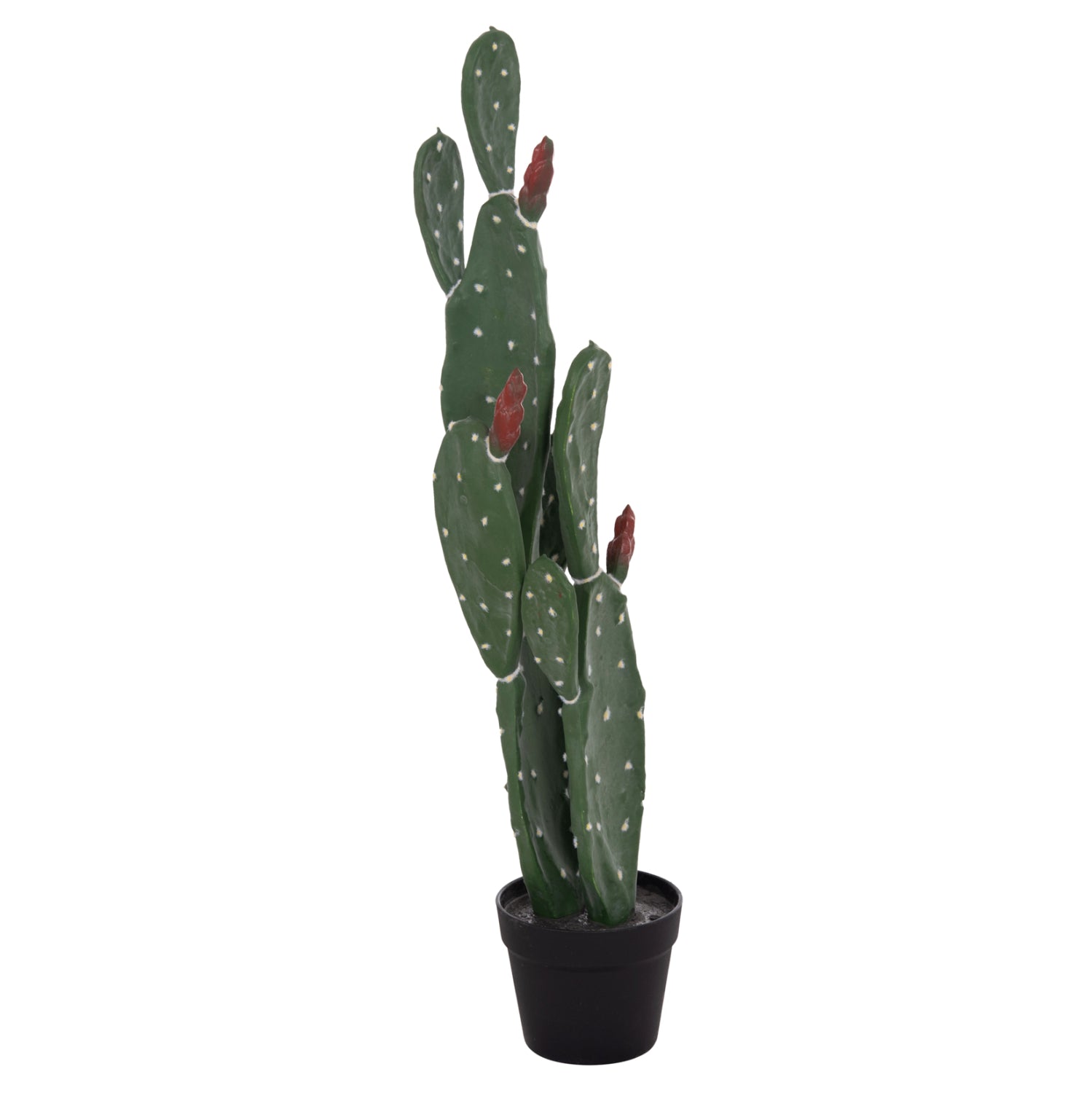 Cactus RUSPA 85 CM