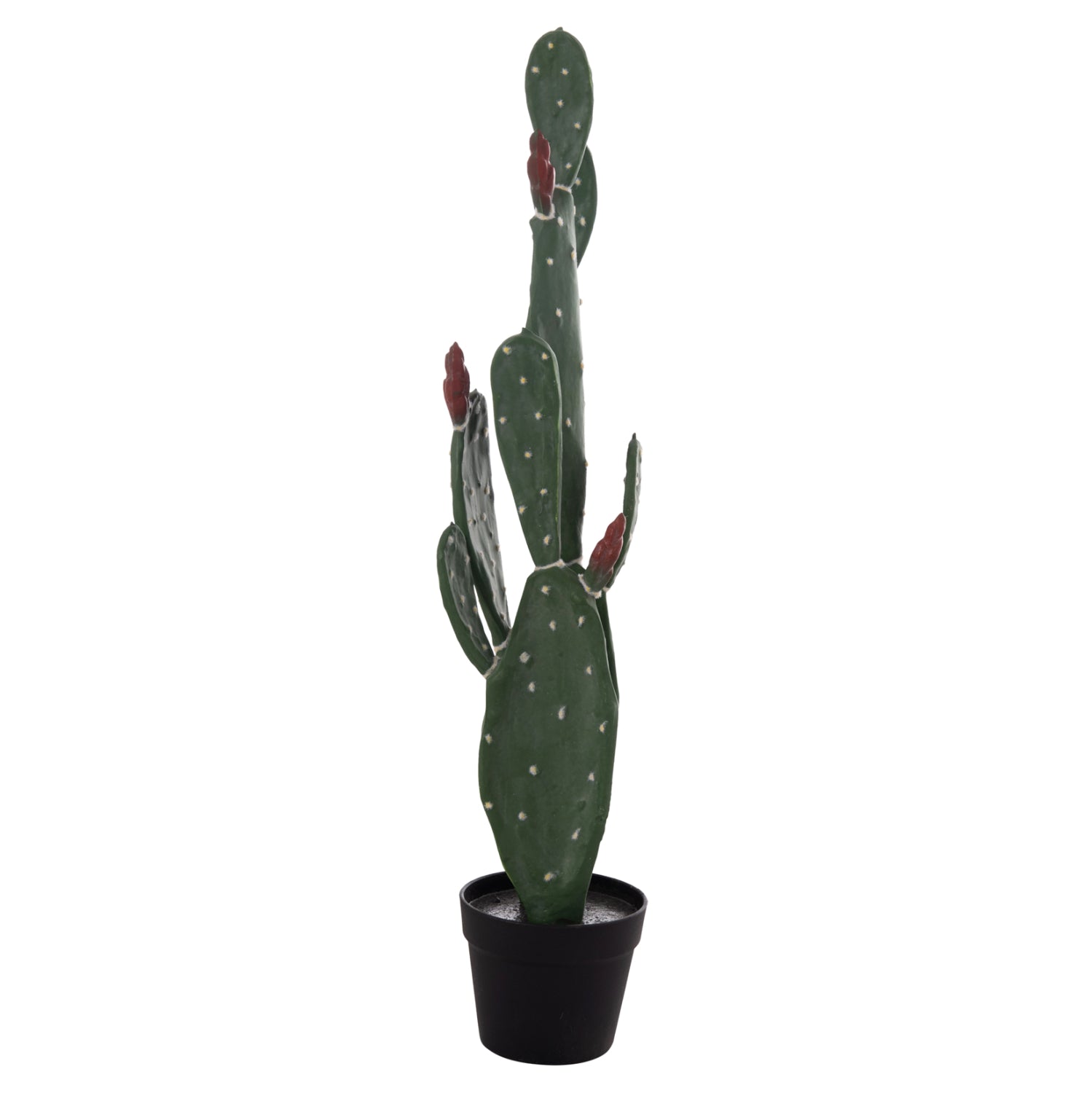 Cactus RUSPA 85 CM