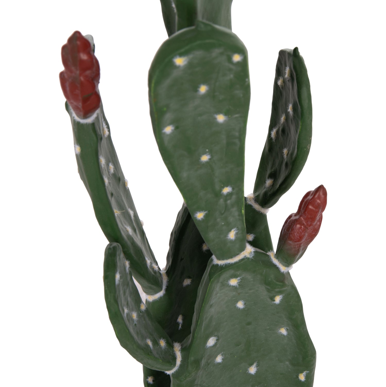 Cactus RUSPA 85 CM