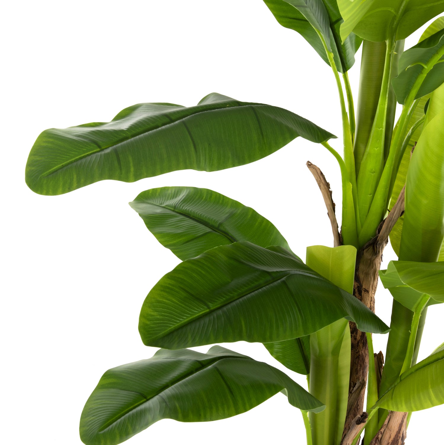 Planta artificiala COLETA BANANA TREE