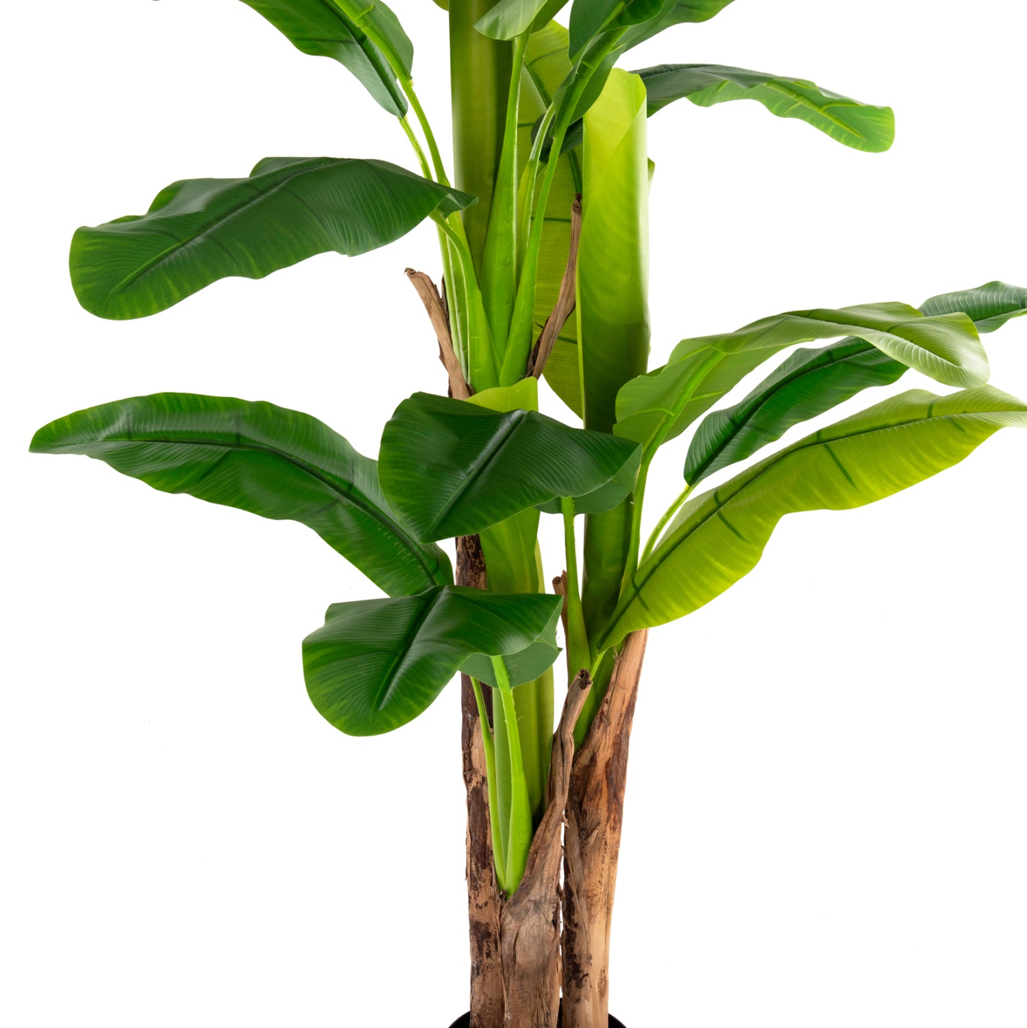 Planta artificiala COLETA BANANA TREE