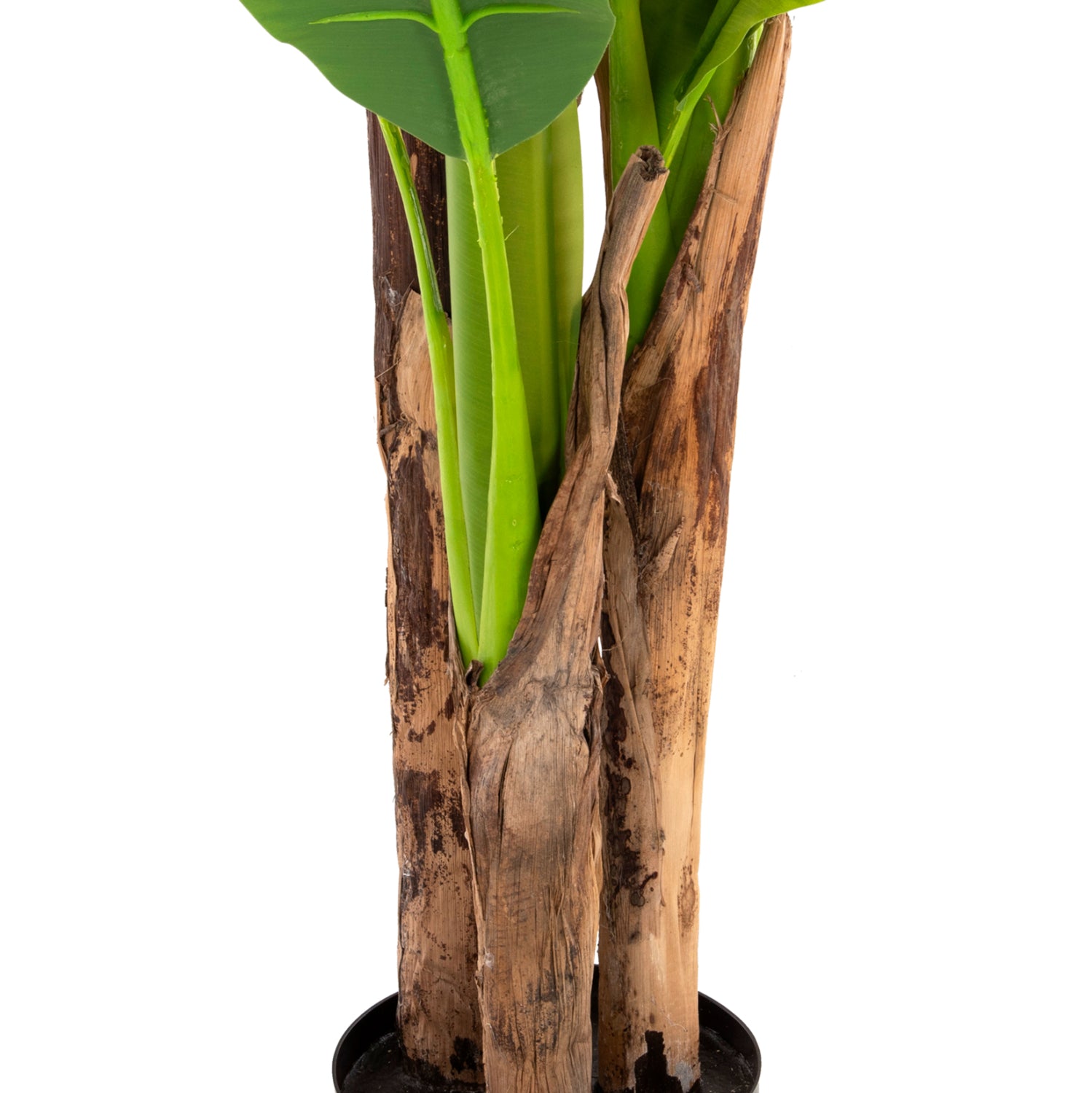 Planta artificiala COLETA BANANA TREE