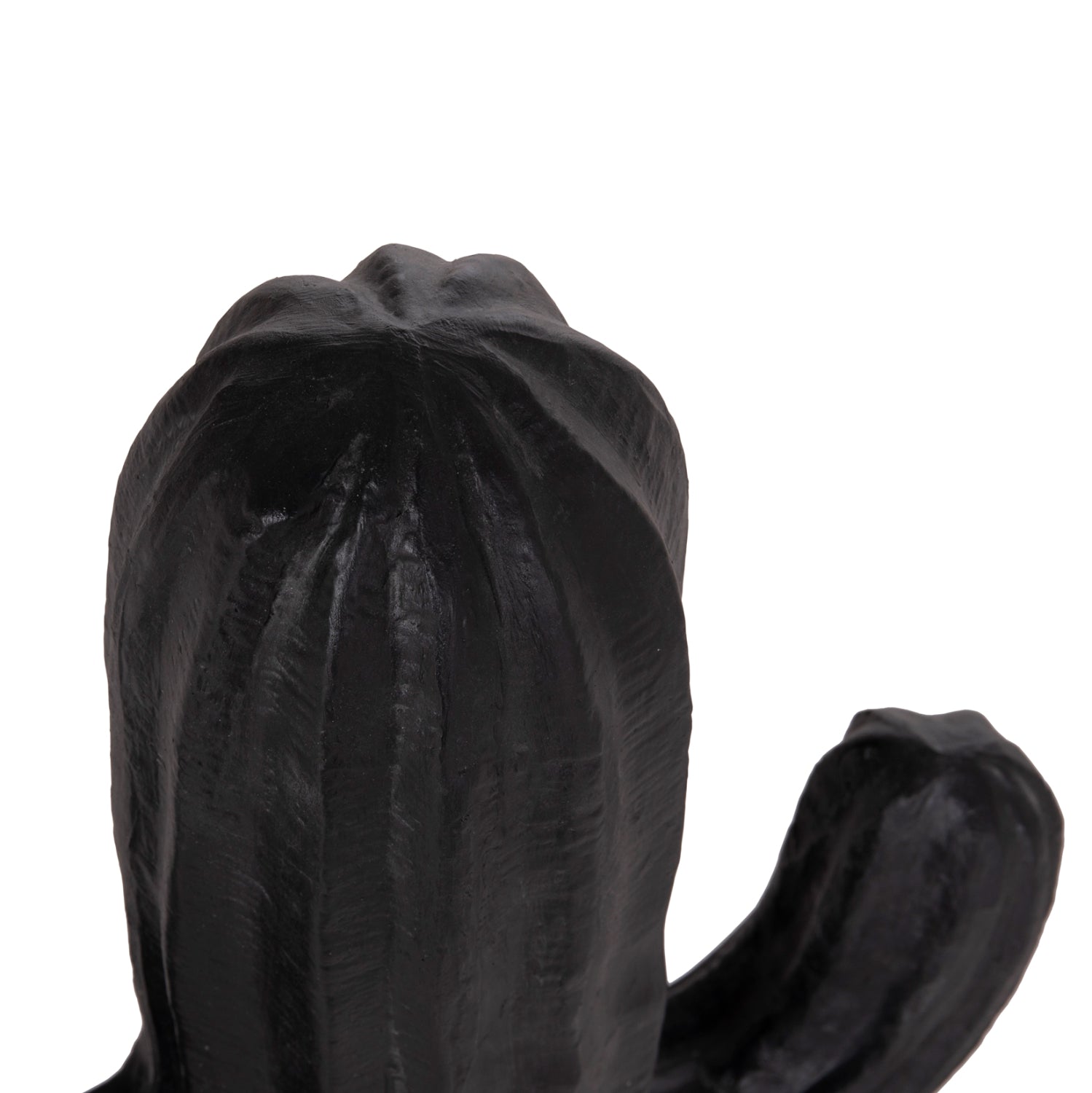 Cactus DIAKONOS 74 CM