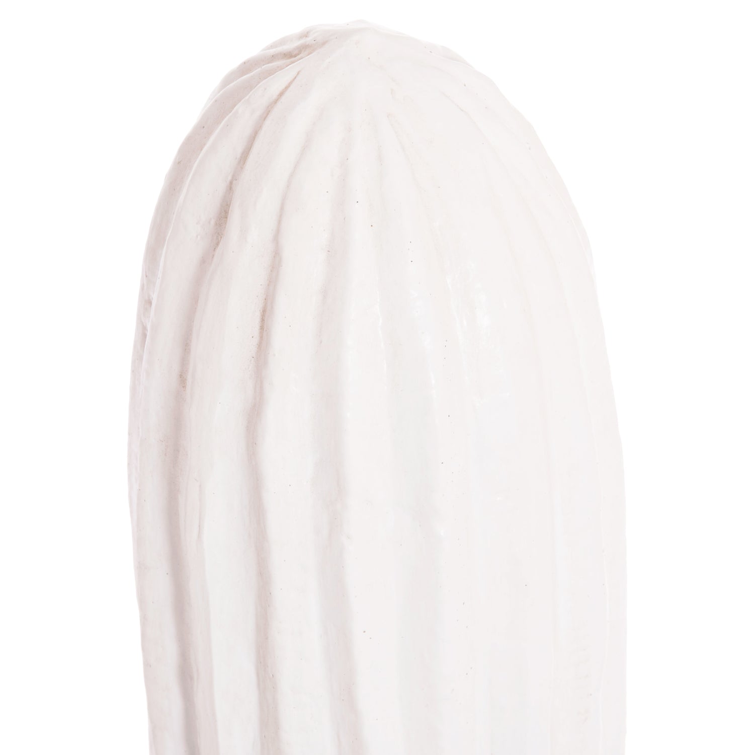 Cactus DIAKONOS 105 CM