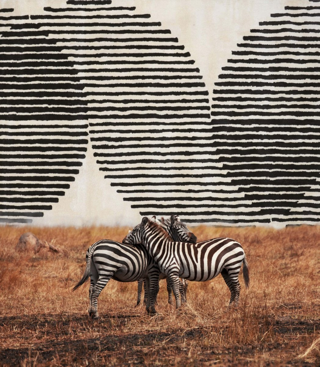 Covor ECLIPSE IVORY 160x230 cm