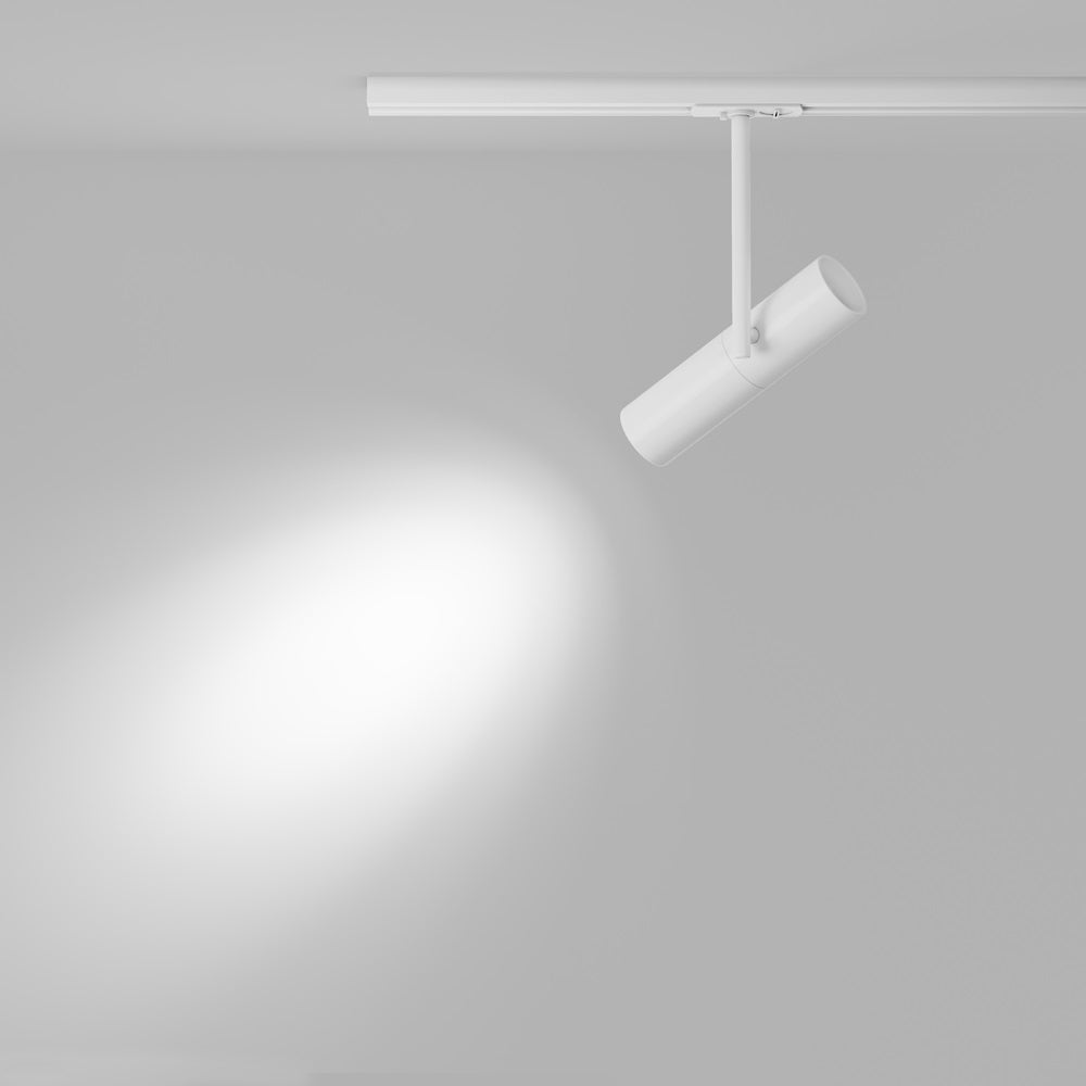 Proiector pe sina ELTI