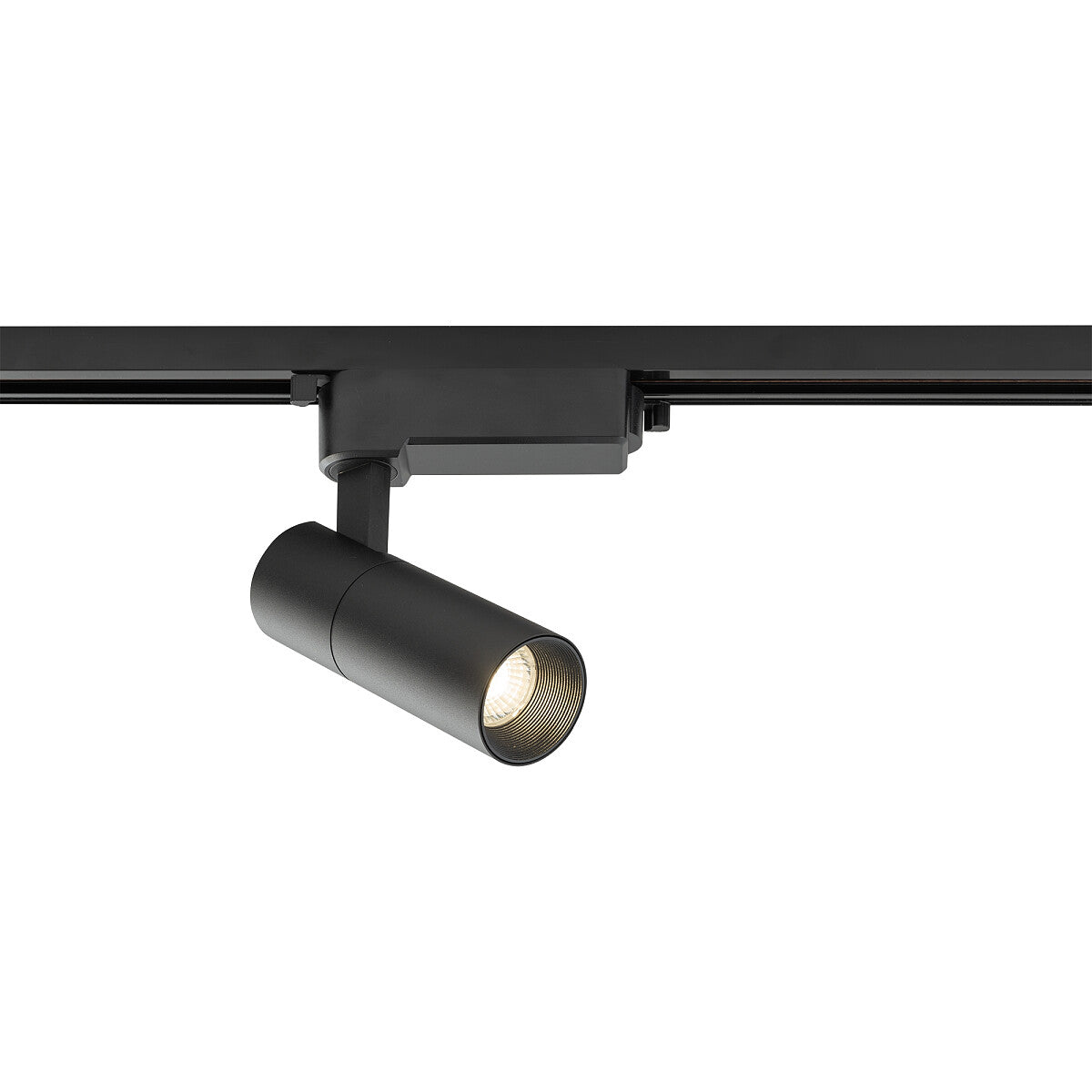 Proiector pe sina INES 10W